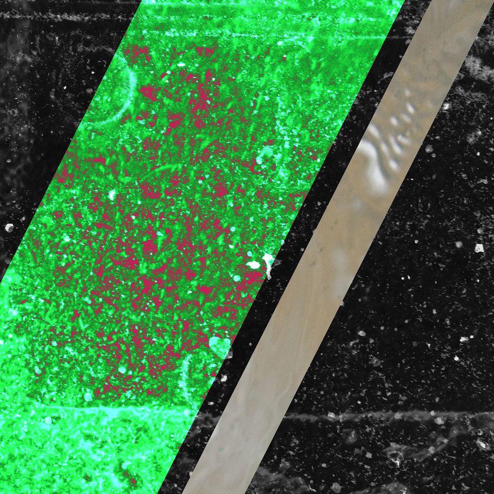 Archival Pigment Print. Entitled: Lets Go Party by Keith Grafton. Image description: product example