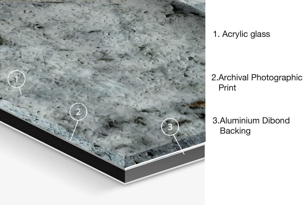 Contemporary Fine Art Photography. Entitled: Music To My Ears by Keith Grafton. Image description: product example