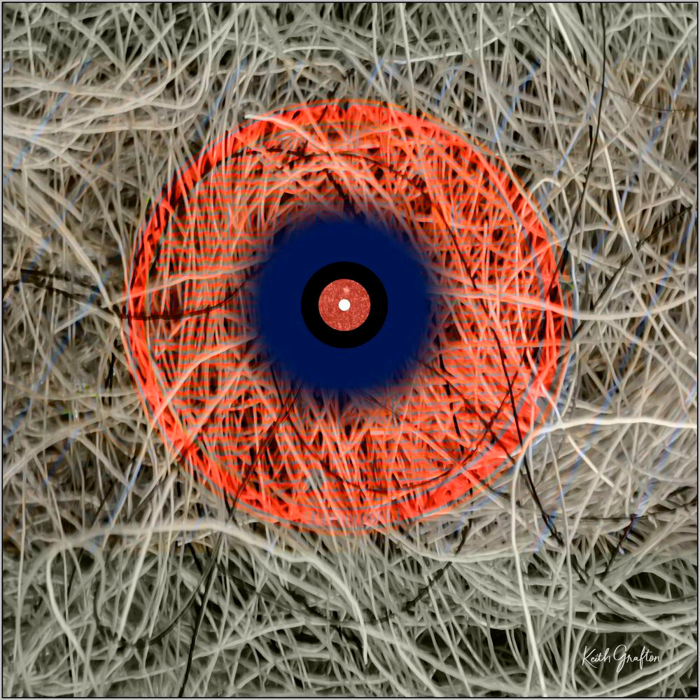 Contemporary Abstract Photography. Entitled: You Can See Me by Keith Grafton. Image description: product example