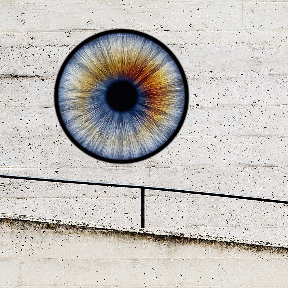 Digital Painting. Entitled: First Encounter by Keith Grafton. Image description: product example