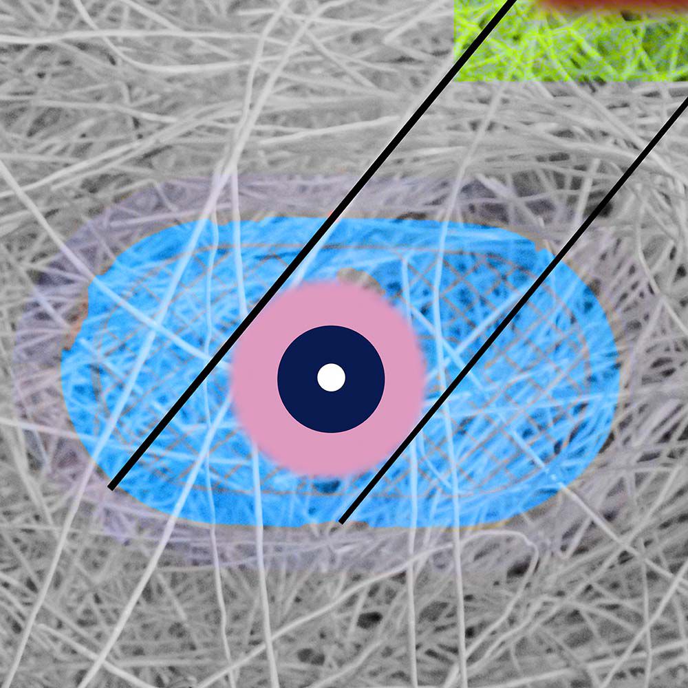 Contemporary Abstract Photography. Entitled: Looking Out For You by Keith Grafton. Image description: product example