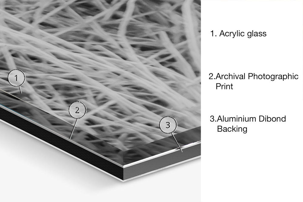 Contemporary Abstract Photography. Entitled: Alexa Do This by Keith Grafton. Image description: product example