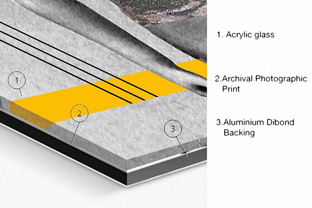Limited Edition Abstract Photography. Entitled: Social Chameleon by Keith Grafton. Image description: product example