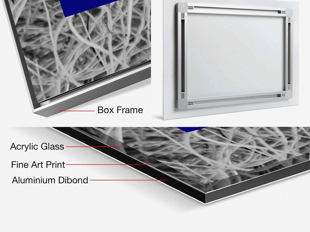 Contemporary Abstract Photography. Entitled: Alexa Do This by Keith Grafton. Image description: product example