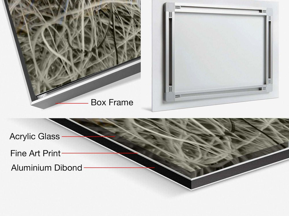 Contemporary Abstract Photography. Entitled: You Can See Me by Keith Grafton. Image description: product example